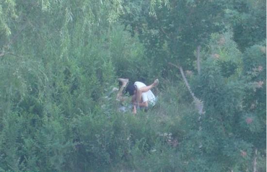 初中生小树林吻视频