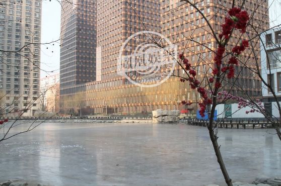 名人明星北京豪宅大比拼 王艳上亿“王府世纪”最奢华