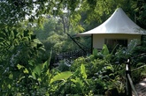 印度The Oberoi Vanyavilas酒店排名第四位，它是印度最奢华的丛林度假村，临近印度Ranthambhore国家公园老虎保护区。（实习编辑：刘嘉炜）