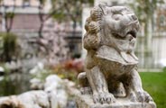 园中神兽