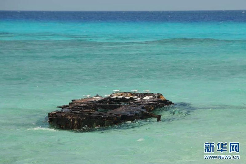 【转载】解放军坦克连驻扎西沙珊瑚岛 海边仍有敌舰残骸