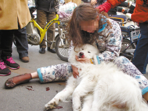 肇事车轧死爱犬欲逃逸狗主人穷追300米逼停大货车