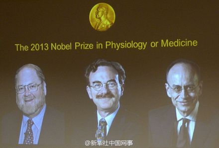 罗特曼等3人分享2013诺贝尔生理学或医学奖