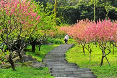 > 正文   导读:桃花涧景区位于江苏省连云港市锦屏镇,是云台山风风景
