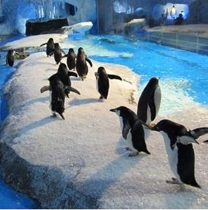 【亲子场所】苏州海洋馆 趣赏珍惜海洋生物_江