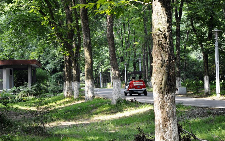 南京:中山植物园 中国四大植物园之一