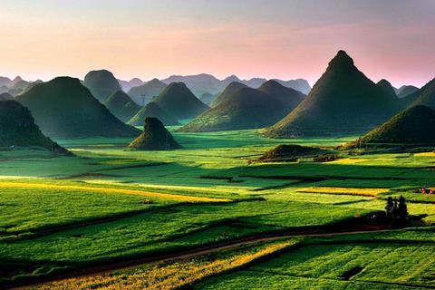 美景团|云南罗平 中国早春的第一片油菜花海_江苏频道_凤凰网