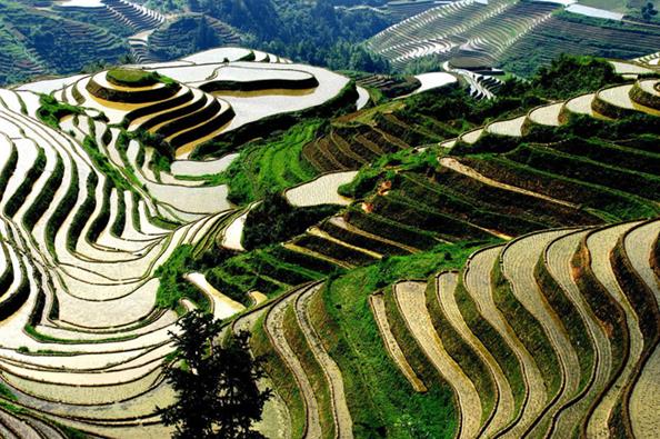 旅游 行程攻略 龙脊梯田位于广西桂林地区龙胜各族自治县东南部和平乡
