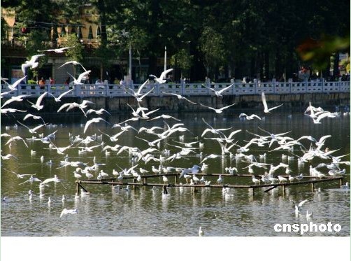 裤腰太低露黑毛蒋小涵_烟台大樱桃_烟台收入太低