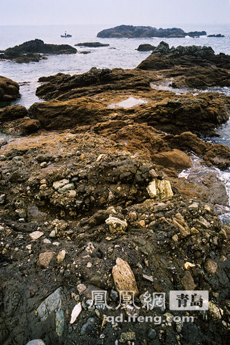 黄岛胶南距离内巴彦淖尔的乌拉特中旗甘其毛都