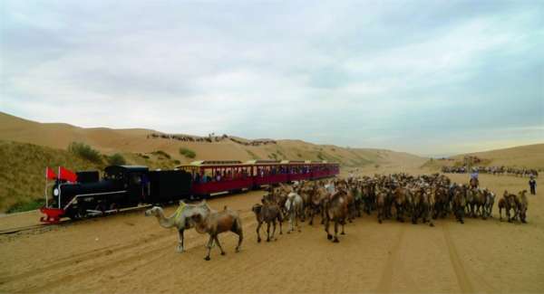 华西村人均收入_鄂尔多斯人均财富(2)