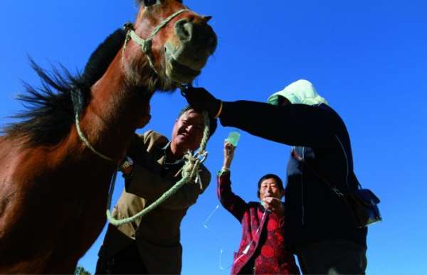 华西村人均收入_鄂尔多斯人均财富(3)