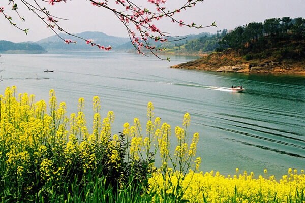 城市 安徽 > 正文 d3:早驱车赴太湖县花亭湖,花亭湖湖水清澈,景色优美