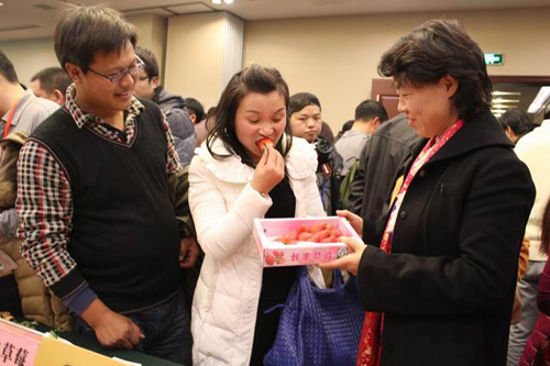 合肥长丰草莓香溢杭州受市民青睐