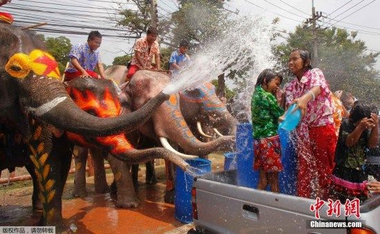 大象列队和游客互相“泼水”。