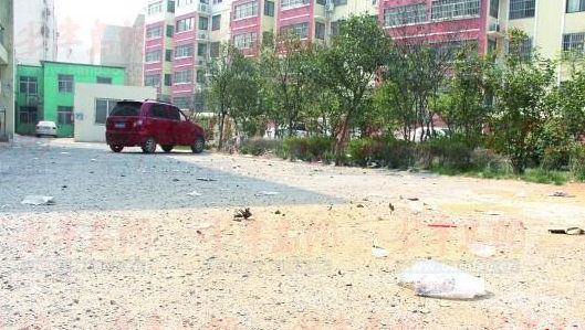 袖珍小区无物业管理 垃圾遍地业主充当保洁员