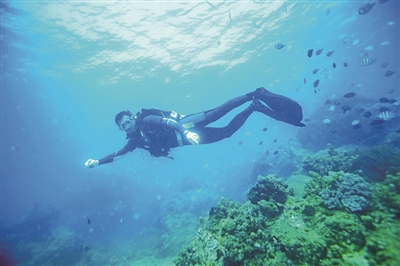 蜈支洲岛一价全包受青睐