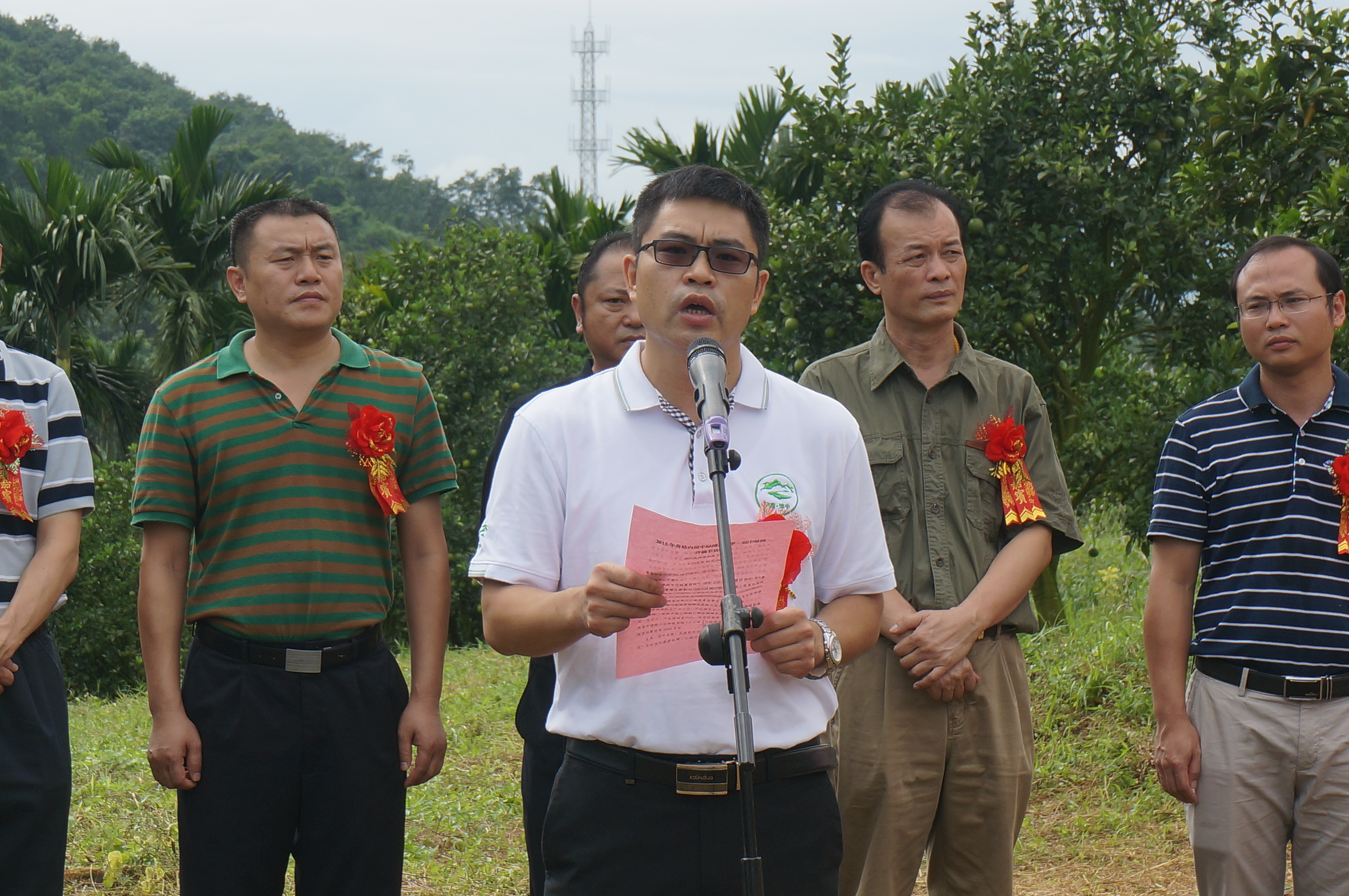 琼中绿橙开摘上市 2000多亩观光果园供宾客品