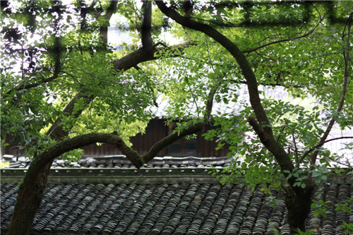 宁波南塘老街海鲜_宁波南塘老街_宁波周边旅游景点(3)