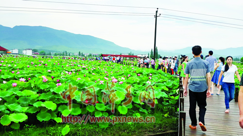 萍乡市莲花县人口_小山村的千人团圆宴(2)