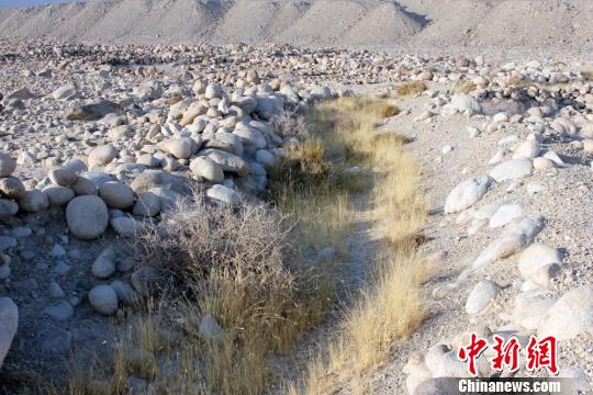 新疆和静发现大规模“石阵遗址”
