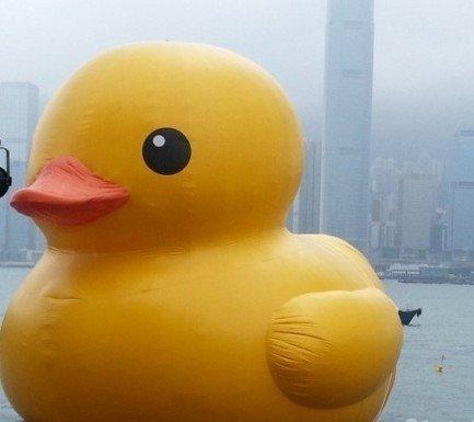 北京今日将公布正版“大黄鸭”9月下水地点