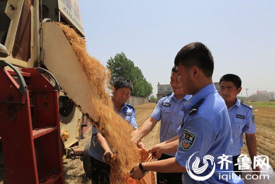 图2：民警到田间帮助群众收获麦子