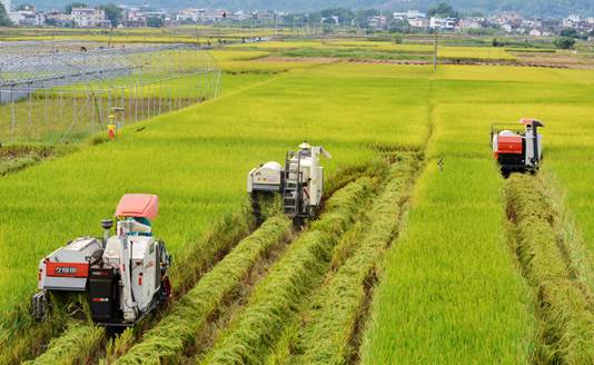 美国耕地面积_美国农民人均耕地面积(3)