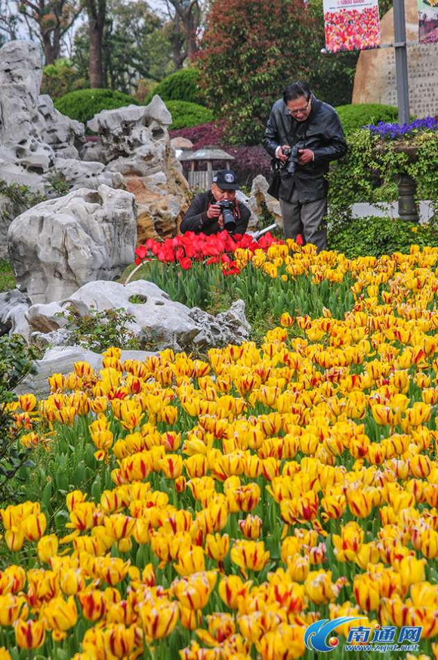 南通大学的一本。和南京中医药大学的二本。哪