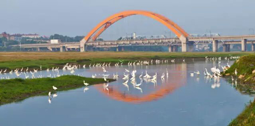 如果世界上曾经有永修出现过 其他地方都会变