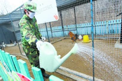由禽流感防控引发的关于基层动物防疫体制建设的思考