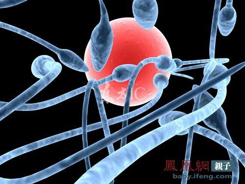 点击进入下一页 点击进入下一页