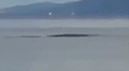游客在尼斯湖拍到疑似水怪掀起巨浪