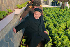 金正恩在田间地头视察
