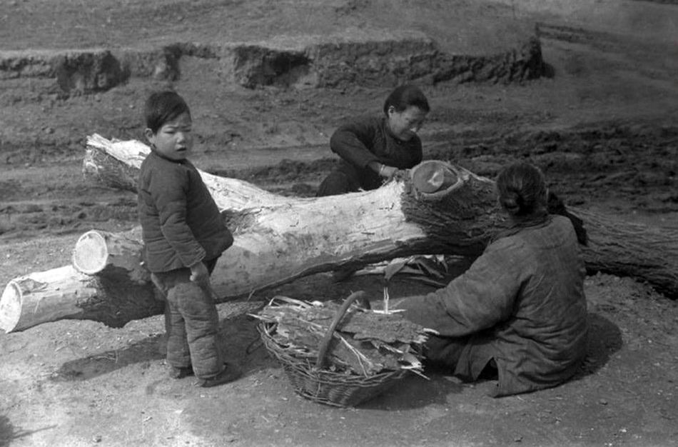 一九四二年河南人口_1942年,河南大灾荒饿死300万人