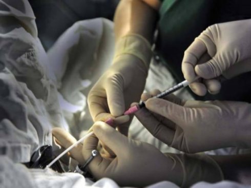 实拍:人工受精+试管婴儿诞生全过程(组图)