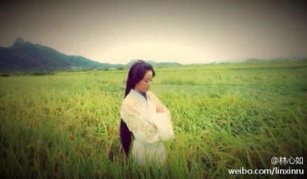 林心如晒麦田古装照 网友：收稻子去么(图)