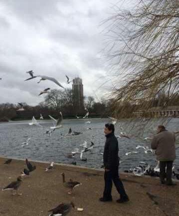 成龙学梁朝伟伦敦打飞的喂鸽子 网友:伟仔知道吗(图)