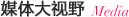 媒体大视野