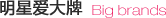 明星爱大牌