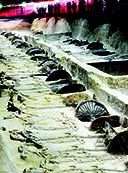 纪山楚墓遭盗掘 两千年竹简如何免于一难