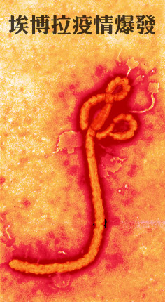 埃博拉疫情爆发