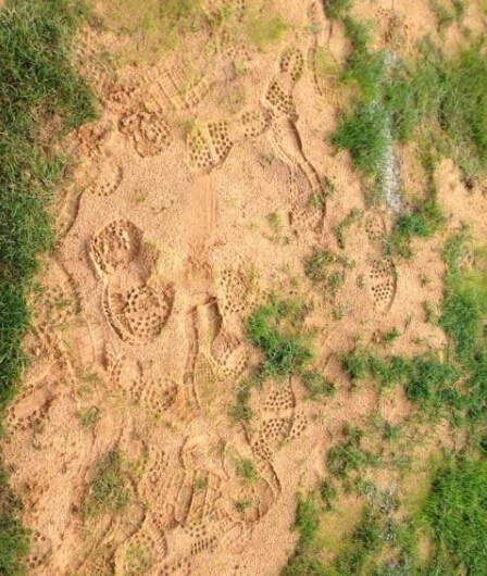 建业菜地球场遭吐槽 俱乐部积极整修已撒下草