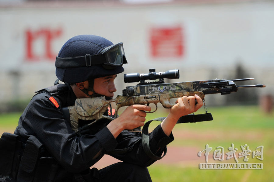 杀敌于无声:探秘中国武警特勤中队王牌弓弩手