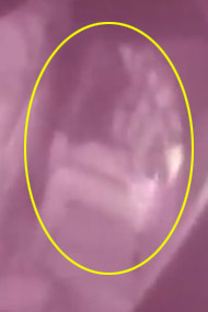 ����Ů�������г����ּ�&rdquo;<