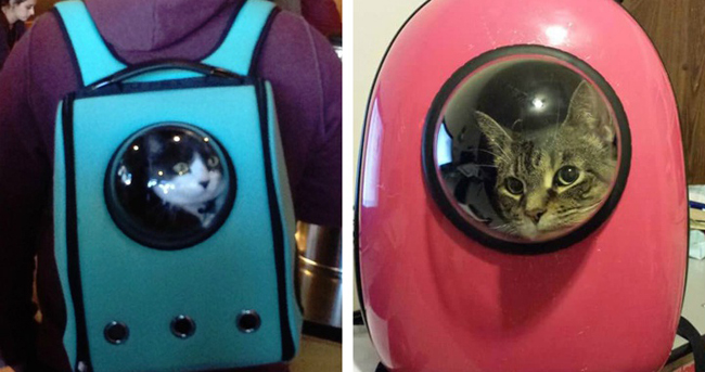 你好，地球人！一个很科幻的宠物背包