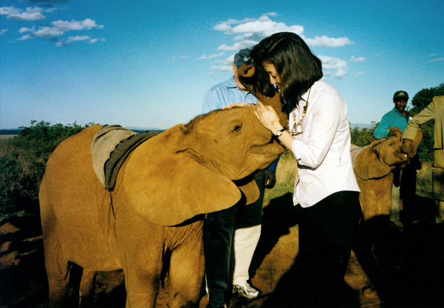 公益先锋》对话国际爱护动物基金会亚洲区总代