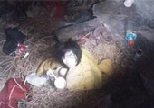 现场：少女遭父母裸囚废墟5年 众人解救被拦