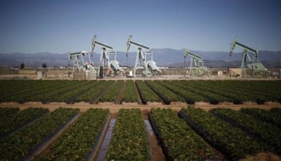 美国储油空间用尽 油价即将下挫？
