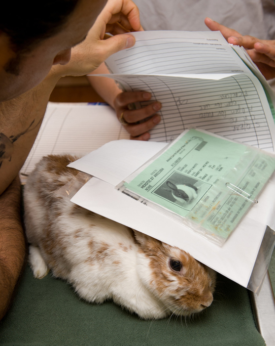 未知生物实拍记录 57e9262a1058204.jpg